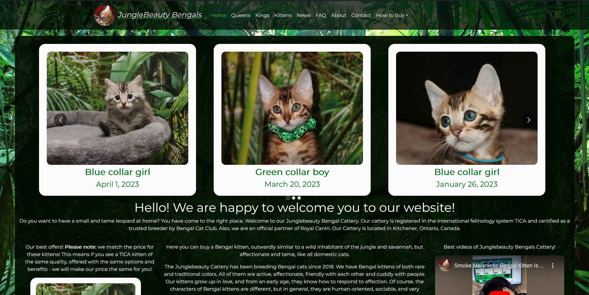Screenshot of the home page of the Junglebeauty website